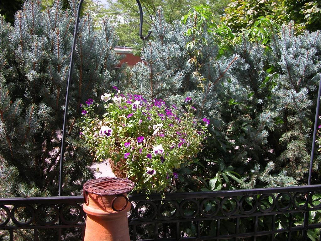 Old Town Guesthouse B & B Colorado Springs Exterior foto